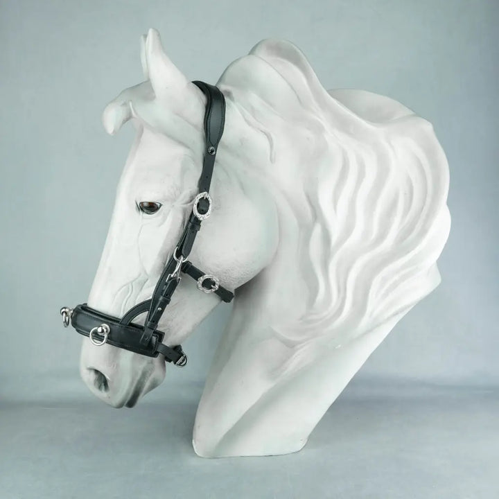 Kenzie Dysli Cavesson Bridle