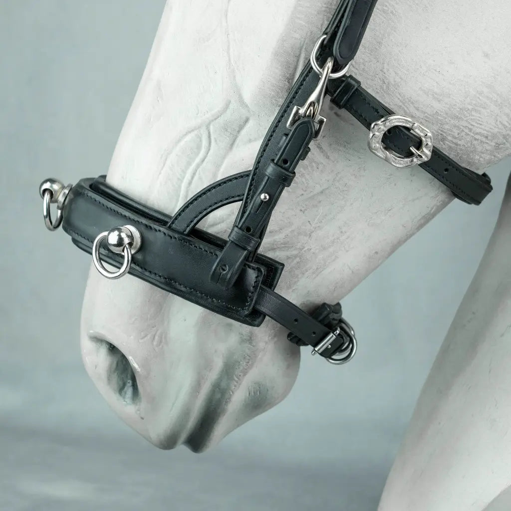 Kenzie Dysli Cavesson Bridle