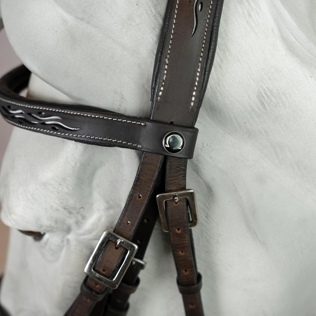 Kenzie Dysli Show Bridle Calada with Leather Reins