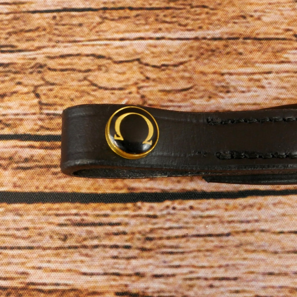 Spanish Browband with Leather Fringes